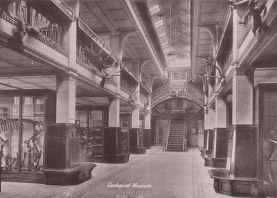 Owen#39;s College, Manchester: Jeoloji Müzesi (s/b fotoğraf) by (after) English photographer