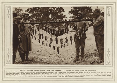 Sıçanlar, Almanlardan daha büyük bir siper endişesi! Sergide bir Fransız askerinin yakalaması (s/b fotoğraf) by (after) English photographer
