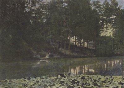 Bois de Boulogne, Rezervuar (renkli fotoğraf) by (after) French Photographer
