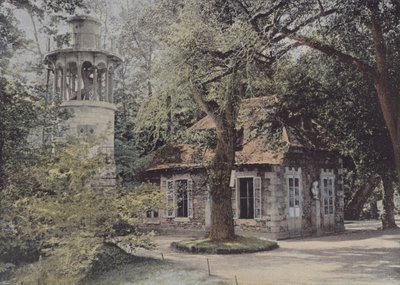 Süt Ürünleri (renkli fotoğraf) by (after) French Photographer