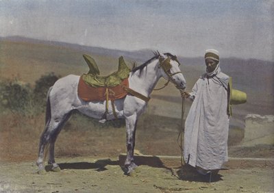 Arap Atı (renkli fotoğraf) by (after) French Photographer