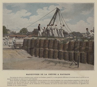Chevre a Haubans