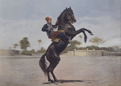 Nos Cavaliers (renkli fotoğraf) by (after) French Photographer