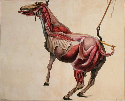 Juillet tarafından oyulmuş Philippe-Etienne Lafosse (1738-1820) tarafından 
