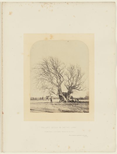  by 14th Earl of Caithness James Sinclair
