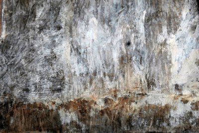  by Detlef B. Fischer