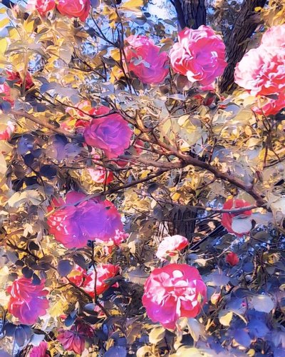  by Margareta Uliarte