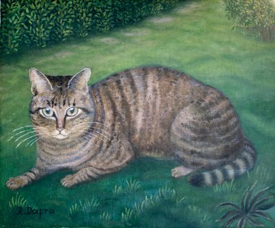 Kedi Julia by Regine Dapra