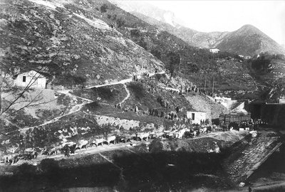 Apuan Alpleri