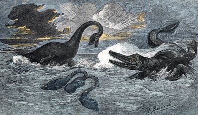 Plesiosaur ve Alt Jura döneminden bir ichthyosaur by A. Demarle