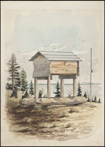Chippewa Kızılderili "İlaç Adamı" "Cadunce"nin mezar yerini, bir Navajo kum resmini ve Crow taş resimlerini tasvir eden çizimler by A. Grossman