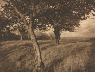 Kamera Çalışması: Ötesi by A. Horsley Hinton