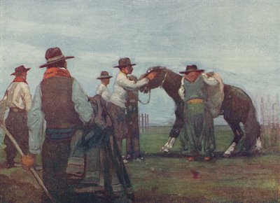 Gauchos