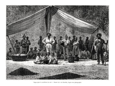 Kahvenin toplanmasından sonra bir yemek, Brezilya, 19. yüzyıl by A. de Neuville