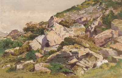 Güney Galler