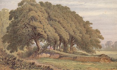 Eltham, Kent yakınlarında bir grup meşe ağacının incelenmesi (kromolito) by Aaron Edwin Penley