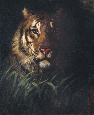 Kaplanın Başı, ca. 1874. by Abbott Handerson Thayer