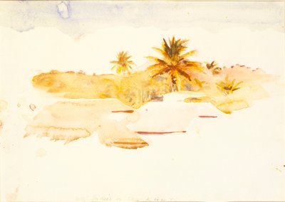 Batı Hint Adaları by Abbott Handerson Thayer