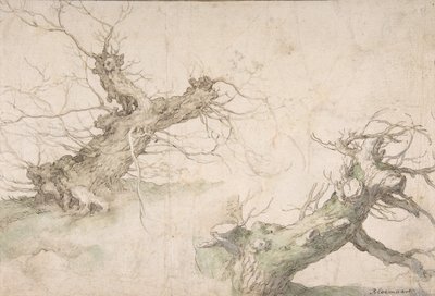 İki Pollard Willows Çalışmaları, Verso: Geniş Peyzaj Beklentisi, 16. yüzyılın sonu-17. yüzyılın ortası. by Abraham Bloemaert