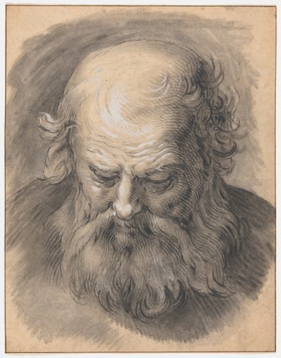Sakallı Bir Adamın Başının İncelenmesi by Abraham Bloemaert