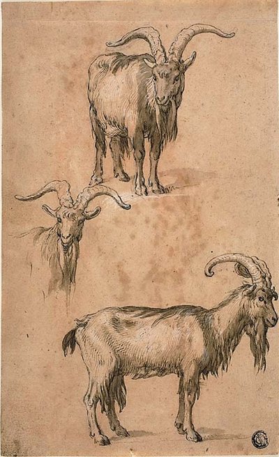 Üç Keçi Eskizleri (rekto) Ayakta Kadın Figürünün Perdeliği (ters) by Abraham Bloemaert