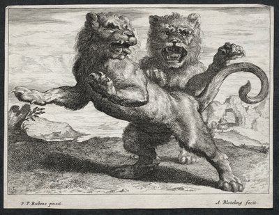 Çeşitli Aslanlar. by Abraham Blooteling