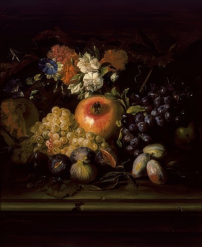Çiçekler ve meyveler ile natürmort by Abraham Brueghel