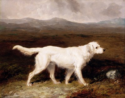 Moorland Manzarasında Charles Brett