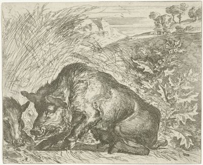 Yaban domuzu Farklı hayvanlar (dizi başlığı) by Abraham Danielsz. Hondius