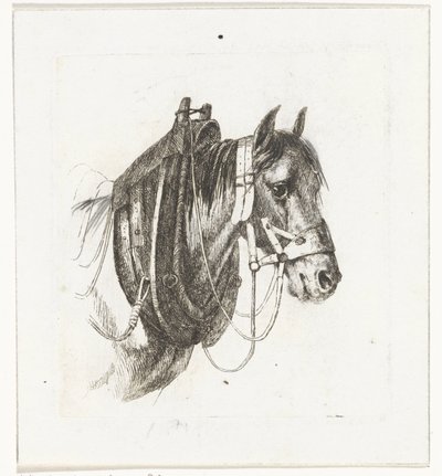 At başlığı, koşum takımı ve eyer ile by Abraham Hendrik Winter