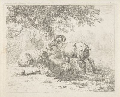 Koyun ve keçi by Abraham Hendrik Winter