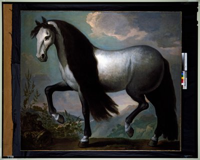 Manzaradaki At by Abraham Jansz. van Diepenbeeck