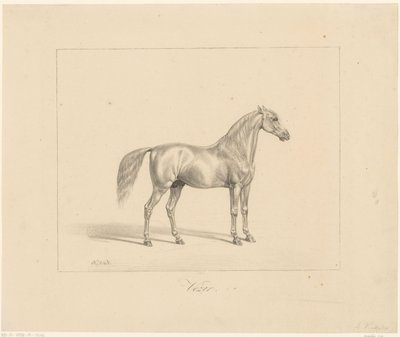 Arap Aygırı Vezir (nesne üzerindeki başlık) by Abraham Vinkeles