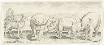 Ceylan, fil ve gergedan Hayvanlar (dizi adı) by Abraham de Bruyn (possibly)