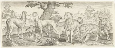 köpekler Hayvanlar (dizi adı) by Abraham de Bruyn (possibly)