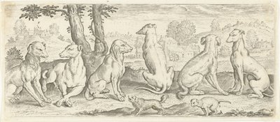 köpekler Hayvanlar (dizi adı) by Abraham de Bruyn (possibly)