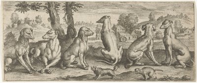 köpekler Hayvanlar (dizi adı) by Abraham de Bruyn (possibly)
