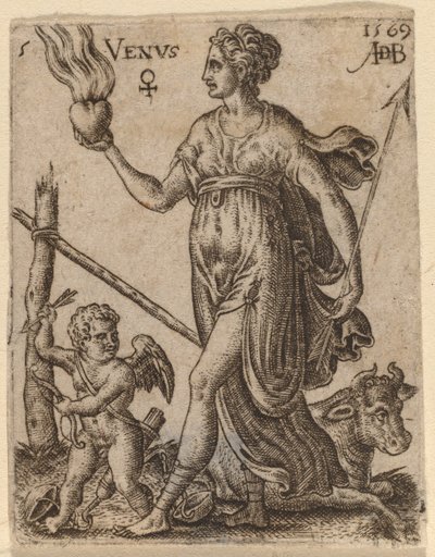 Venüs by Abraham de Bruyn