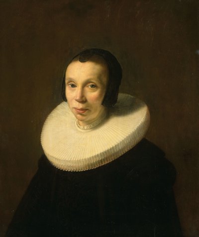 Bir Kadının Portresi by Abraham de Vries