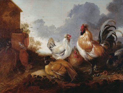 Bir çiftlik bahçesinde kümes hayvanları by Abraham van Calraet