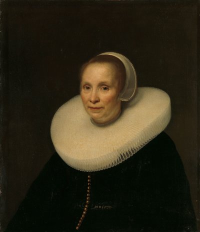 bir kadın portresi by Abraham van den Tempel