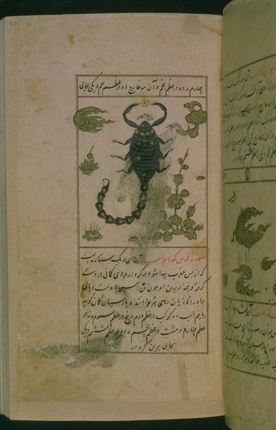 Zodyak takımyıldızları: Akrep, Akrep, Talim dar marifat i taqvuim, 1498 (903 Hijra) (mürekkep) by Abu Jafar al-Tabari