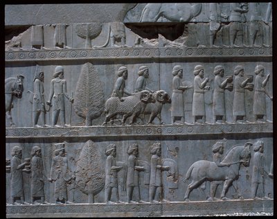 Doğu merdivenlerinin kabartmalarının görünümü by Achaemenid
