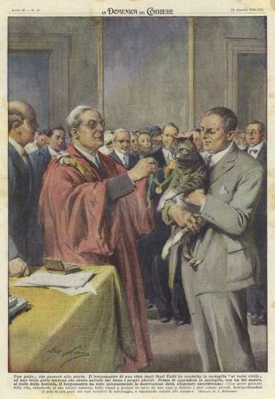 Madalya ile onurlandırılan bir kedi by Achille Beltrame