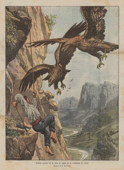 Cesur bir kaya yarığında yuva yapan kartal avı by Achille Beltrame