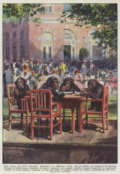 Ormandan döşenen masaya by Achille Beltrame