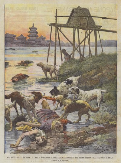Çin