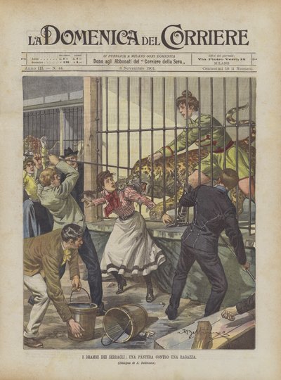 Menageries Dramaları, Bir Kıza Karşı Panter by Achille Beltrame