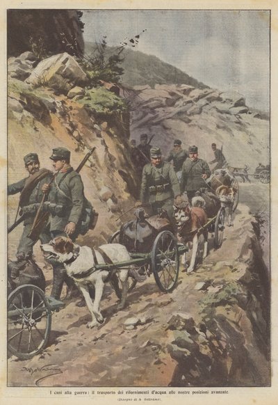 Köpekler savaşa, su kaynaklarını ileri mevzilerimize taşıyor by Achille Beltrame