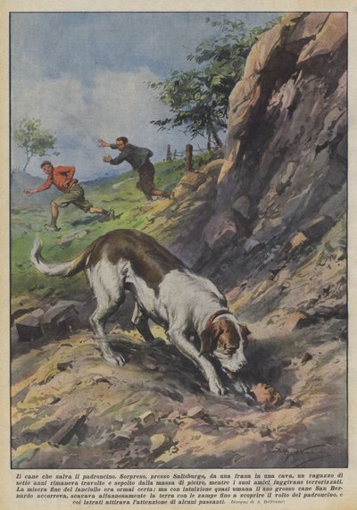 Sahibini kurtaran köpek by Achille Beltrame